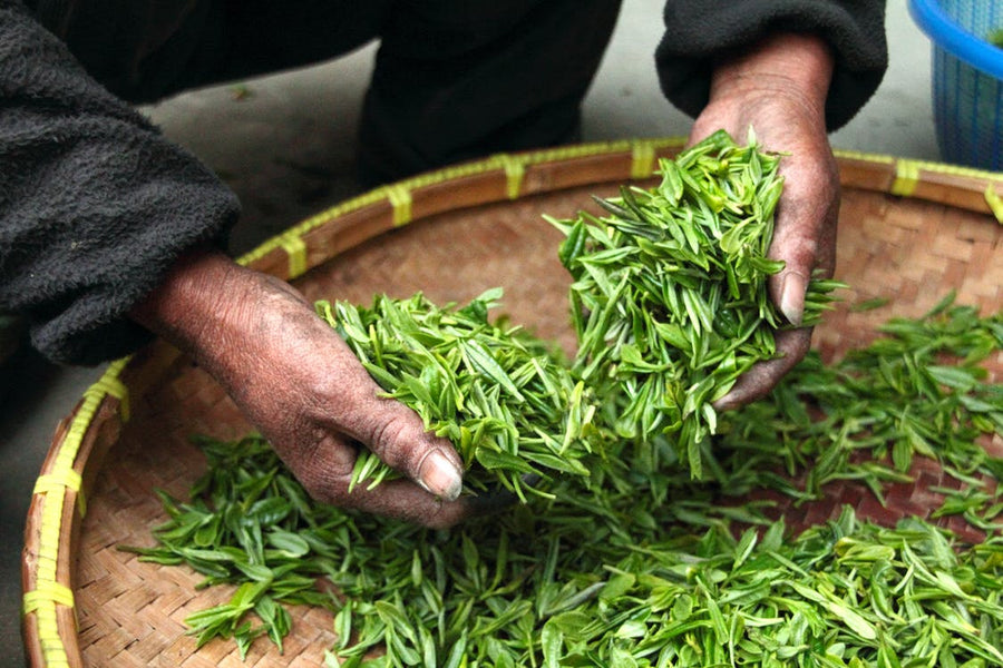 Tea and Culture: Inseparable Partners